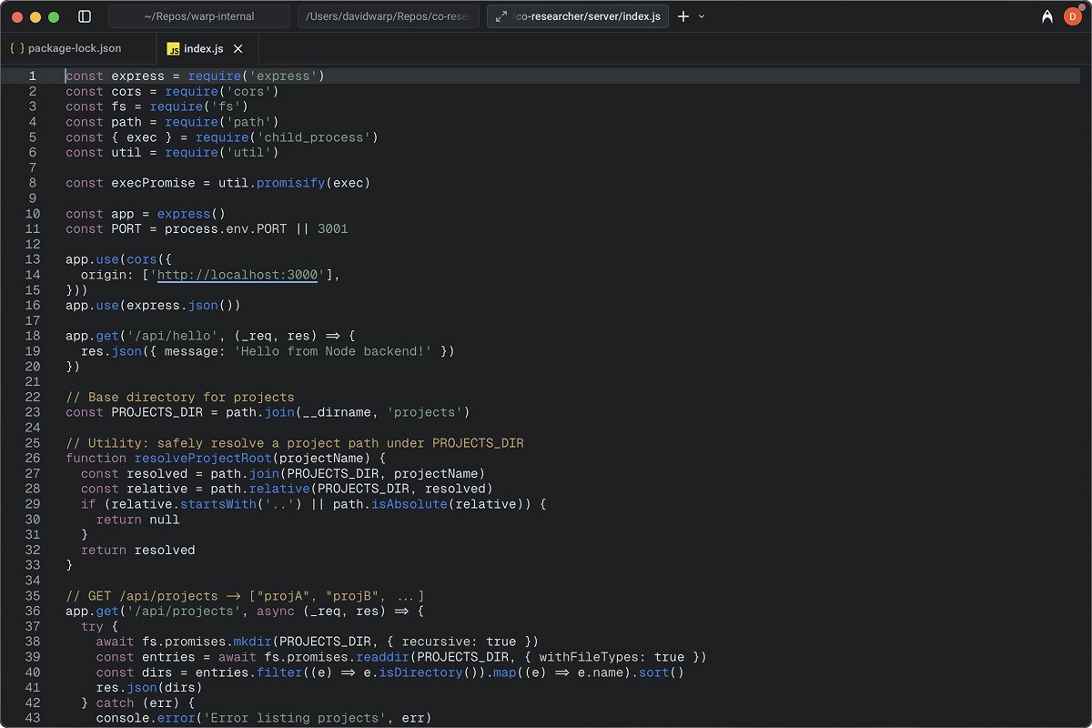 JavaScript code snippet for Node.js Express server with CORS enabled, showing API endpoints for listing projects.